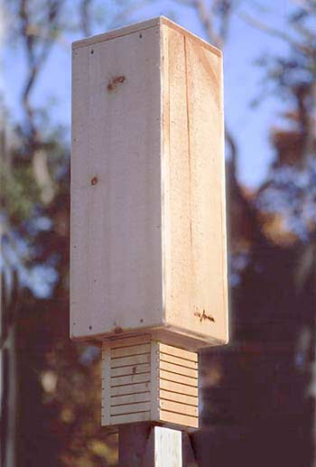 Barn Owl Nest Box