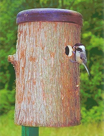 Chickadee Log Nest Box