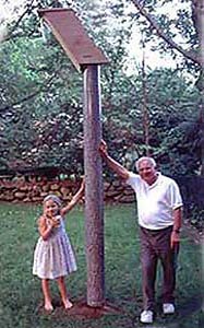 Two Four Feet Tree Mirages with Woodpecker Nest Box